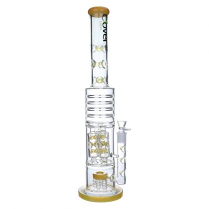 Clover Glass Multi Chamber Perc Straight Water Pipe in Golden