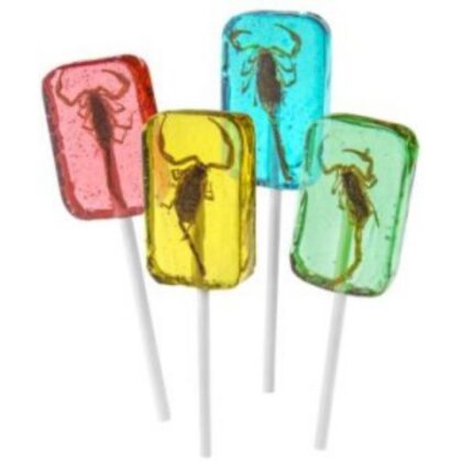 Hotlix Scorpion Suckers with Real Scorpion in Hard Candy